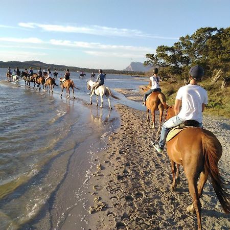 Appartamento Sette Posti Vicino Al Centro Di San Teodoro San Teodoro  Extérieur photo