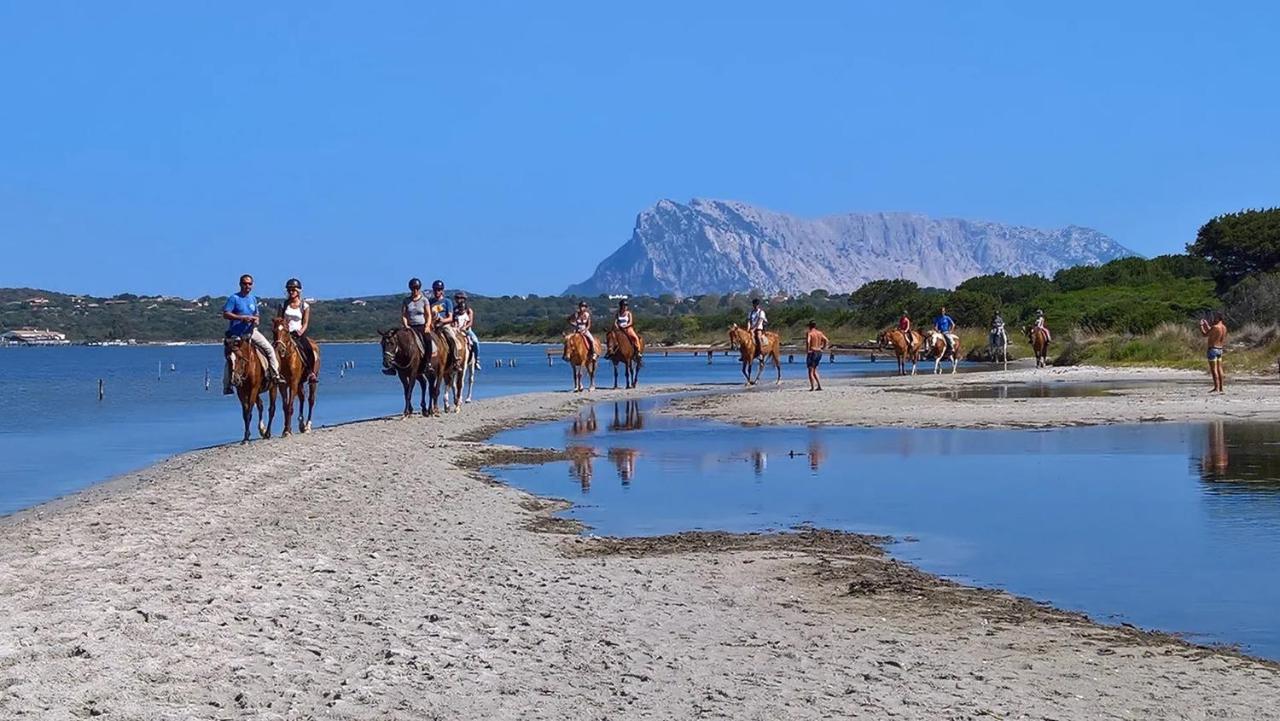 Appartamento Sette Posti Vicino Al Centro Di San Teodoro San Teodoro  Extérieur photo