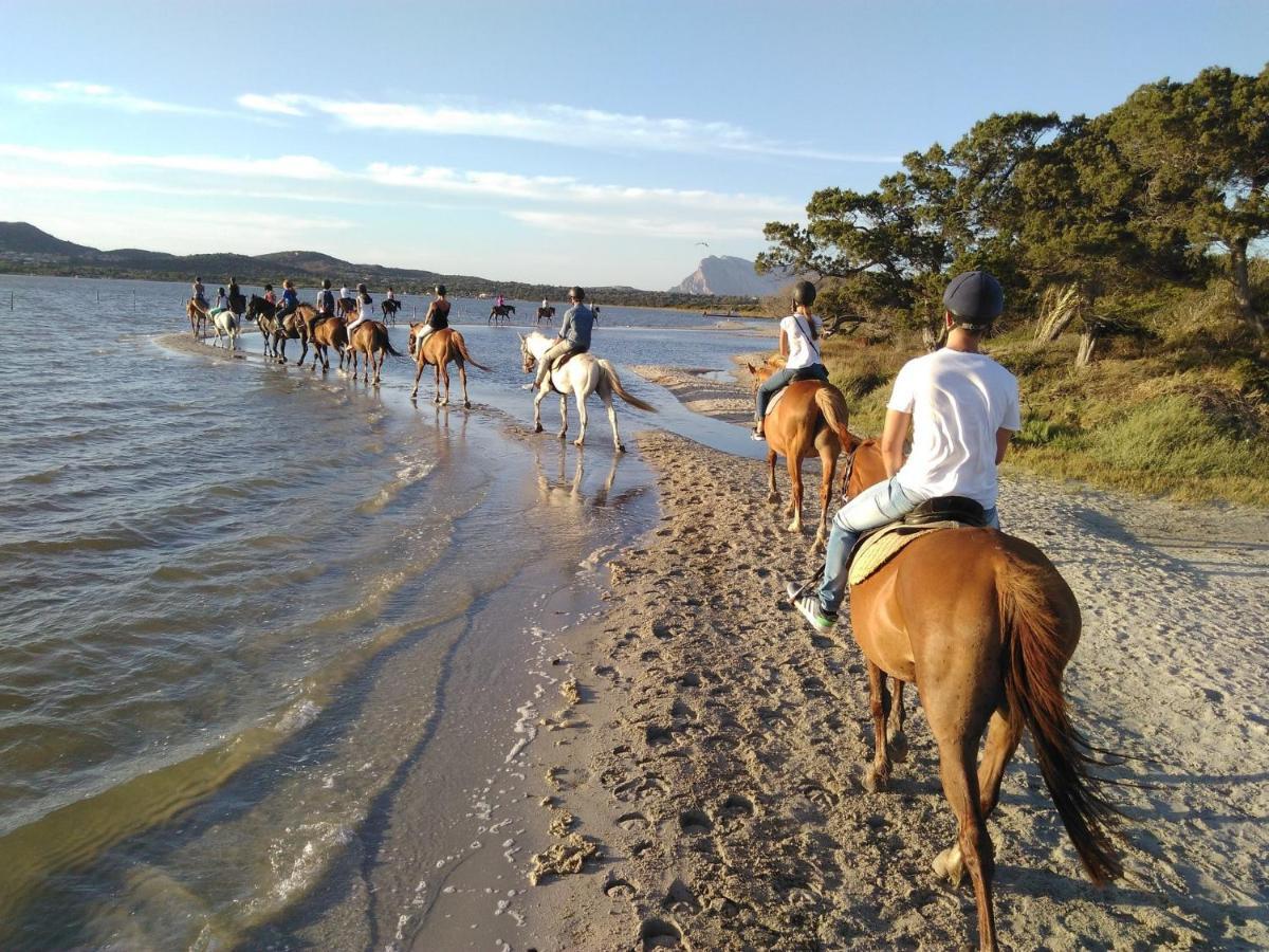 Appartamento Sette Posti Vicino Al Centro Di San Teodoro San Teodoro  Extérieur photo